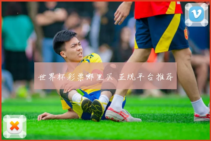 世界杯彩票哪里买 正规平台推荐