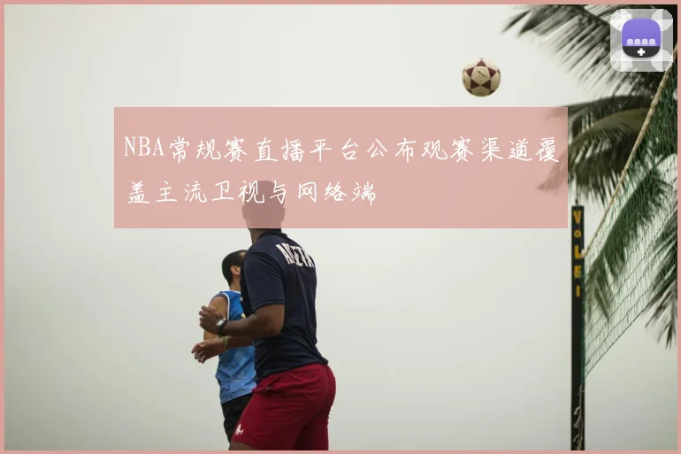 NBA常规赛直播平台公布观赛渠道覆盖主流卫视与网络端