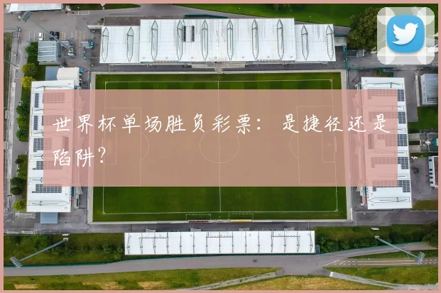 世界杯单场胜负彩票：是捷径还是陷阱？