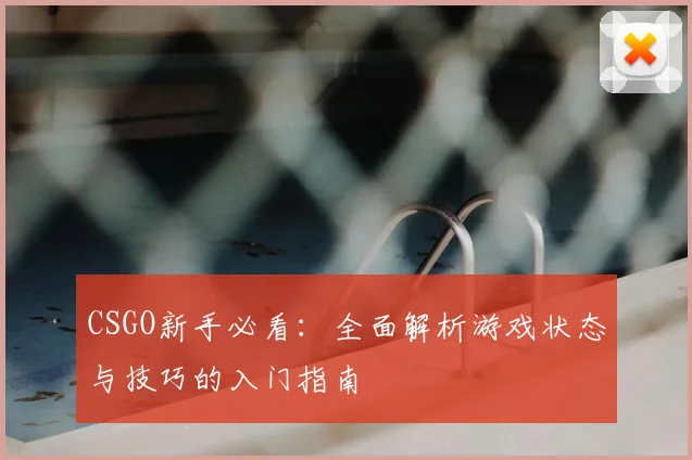 CSGO新手必看：全面解析游戏状态与技巧的入门指南
