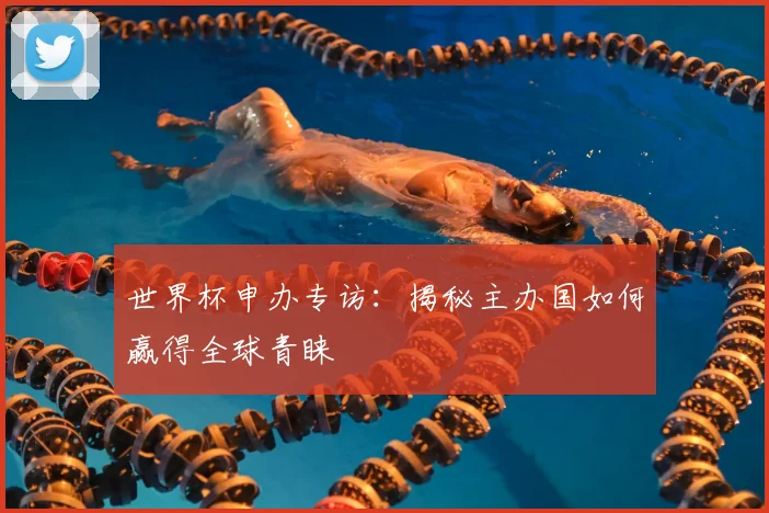 世界杯申办专访:揭秘主办国如何赢得全球青睐
