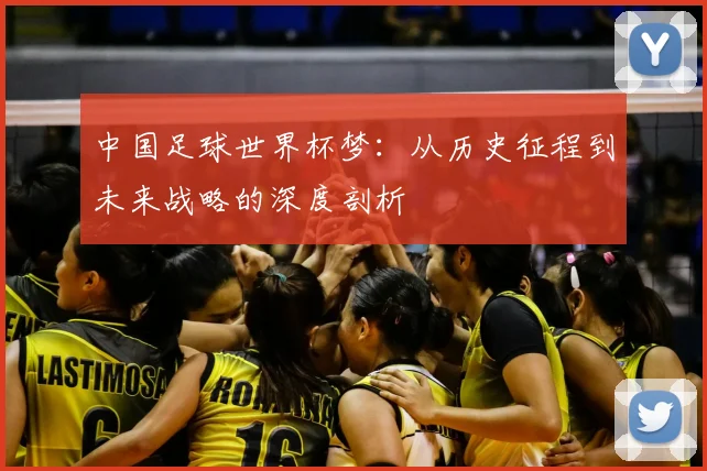 中国足球世界杯梦：从历史征程到未来战略的深度剖析