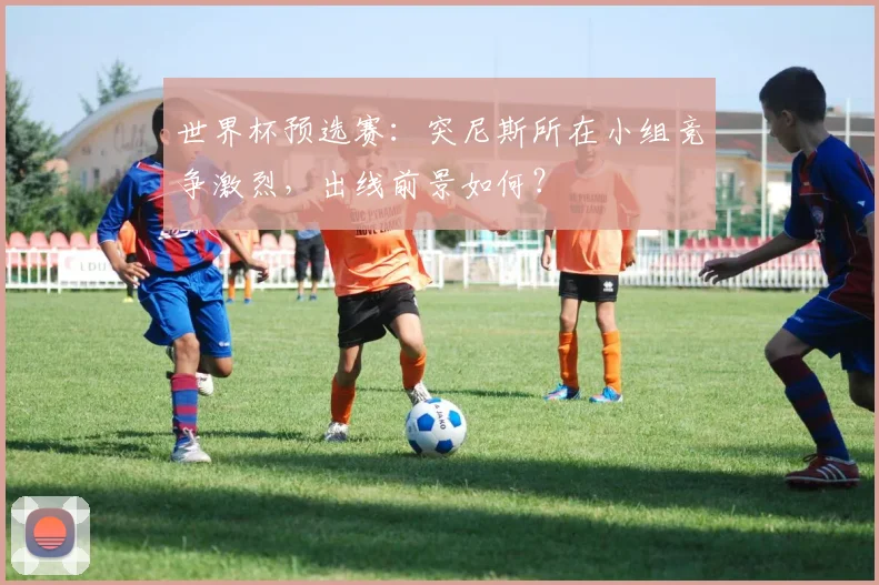 世界杯预选赛：突尼斯所在小组竞争激烈，出线前景如何？