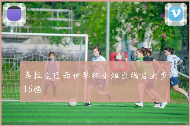 乌拉圭巴西世界杯小组出线后止步16强
