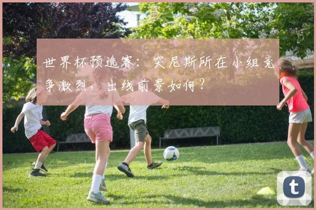 世界杯预选赛：突尼斯所在小组竞争激烈，出线前景如何？