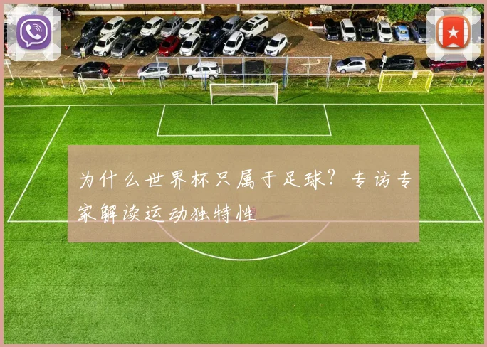 为什么世界杯只属于足球？专访专家解读运动独特性